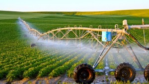 Thiết bị sản xuất nông nghiệp